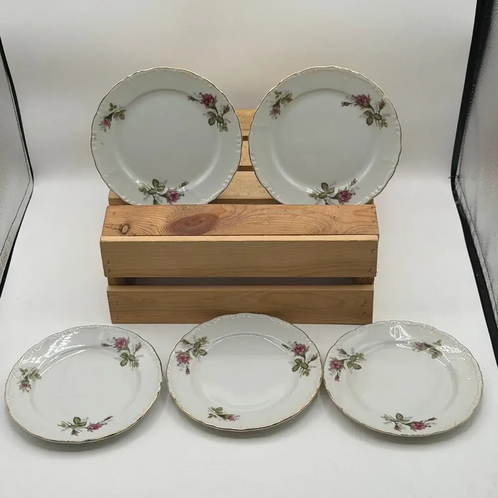 Vintage Pink Rose Porcelain Saucer / Dessert Plates with Gold Trim – Set of 5